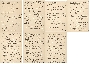 Lady Dilke's speech notes, 1904