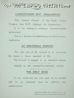 Leaflet - Constitution not challenged